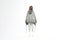 Junus Coban Nomad hooded tunic front view in light grey